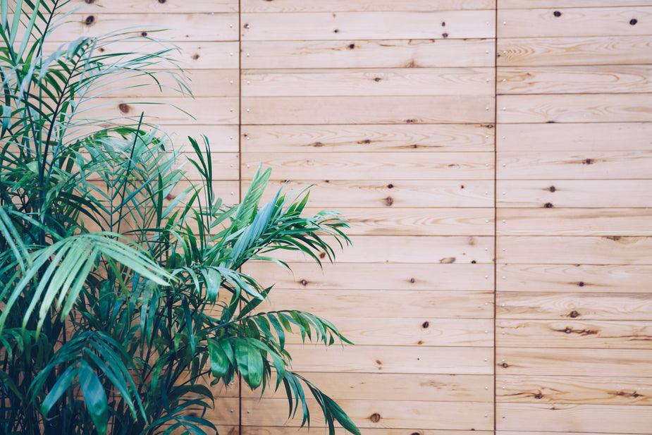 house-plant-on-wooden-slat-wall_925x_37729c3b-544c-427f-b193-398ae2d14b31 - J.OC