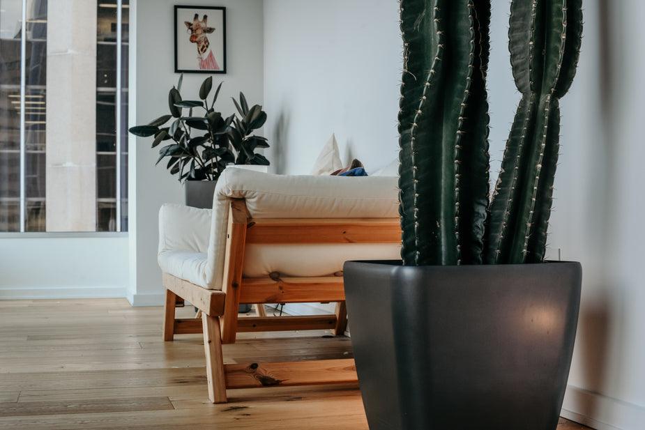 condominium-interior-livingroom_925x_fb526c4d-efac-43f9-9356-bfb7a17648a3 - J.OC