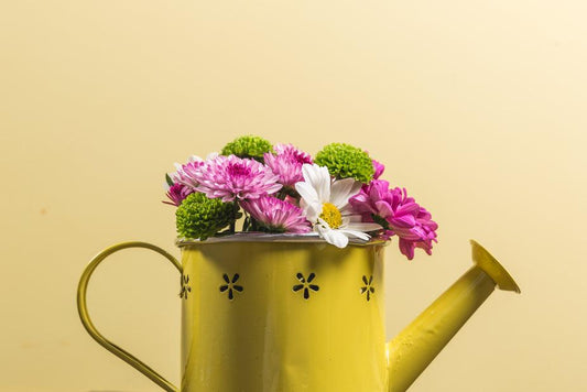 flowers-in-yellow-watering-can_925x_f909e88f-ee6a-44a3-a956-1d199c1b7305 - J.OC