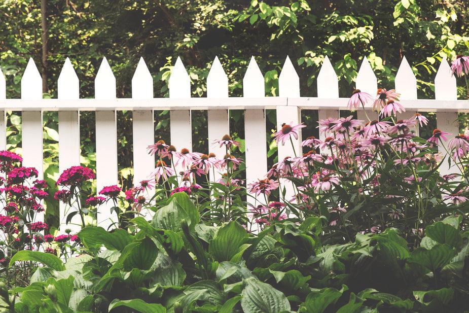 picket-fence-flowers_925x_6b0a1cda-1173-4cfc-bfa3-9f7e4f3c295a - J.OC