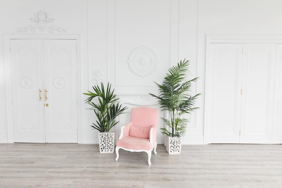 soft-pink-cushioned-armchair-in-stately-salon_925x_3809d125-601e-4d9d-b085-713a0fa39874 - J.OC