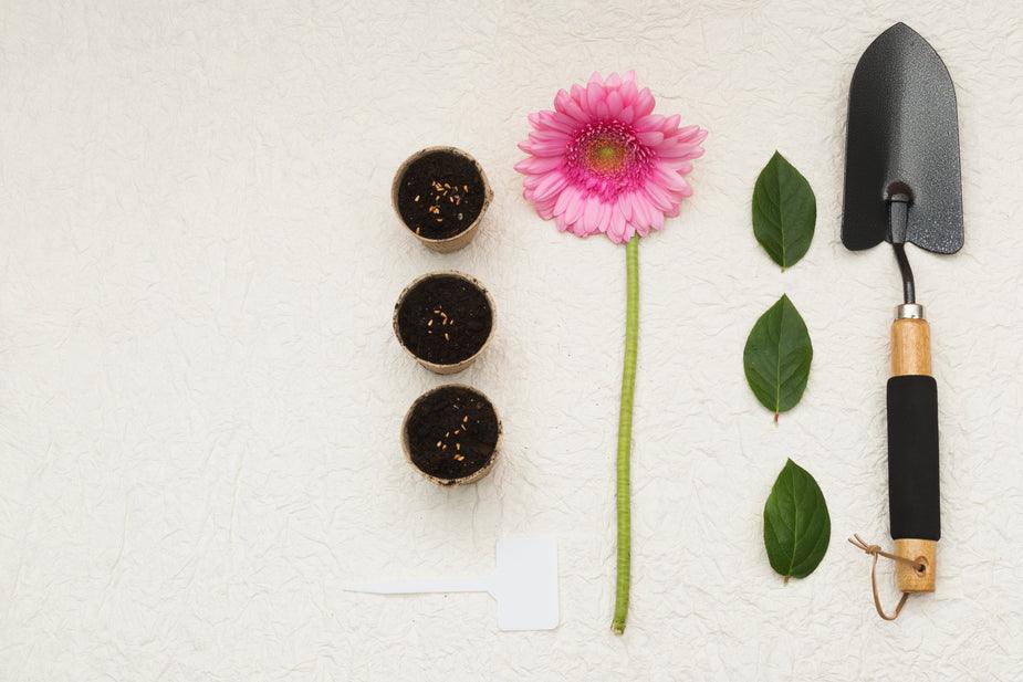 spring-gardening-set-up_925x_f729dae0-de89-4502-b0c8-17965ab26a8c - J.OC